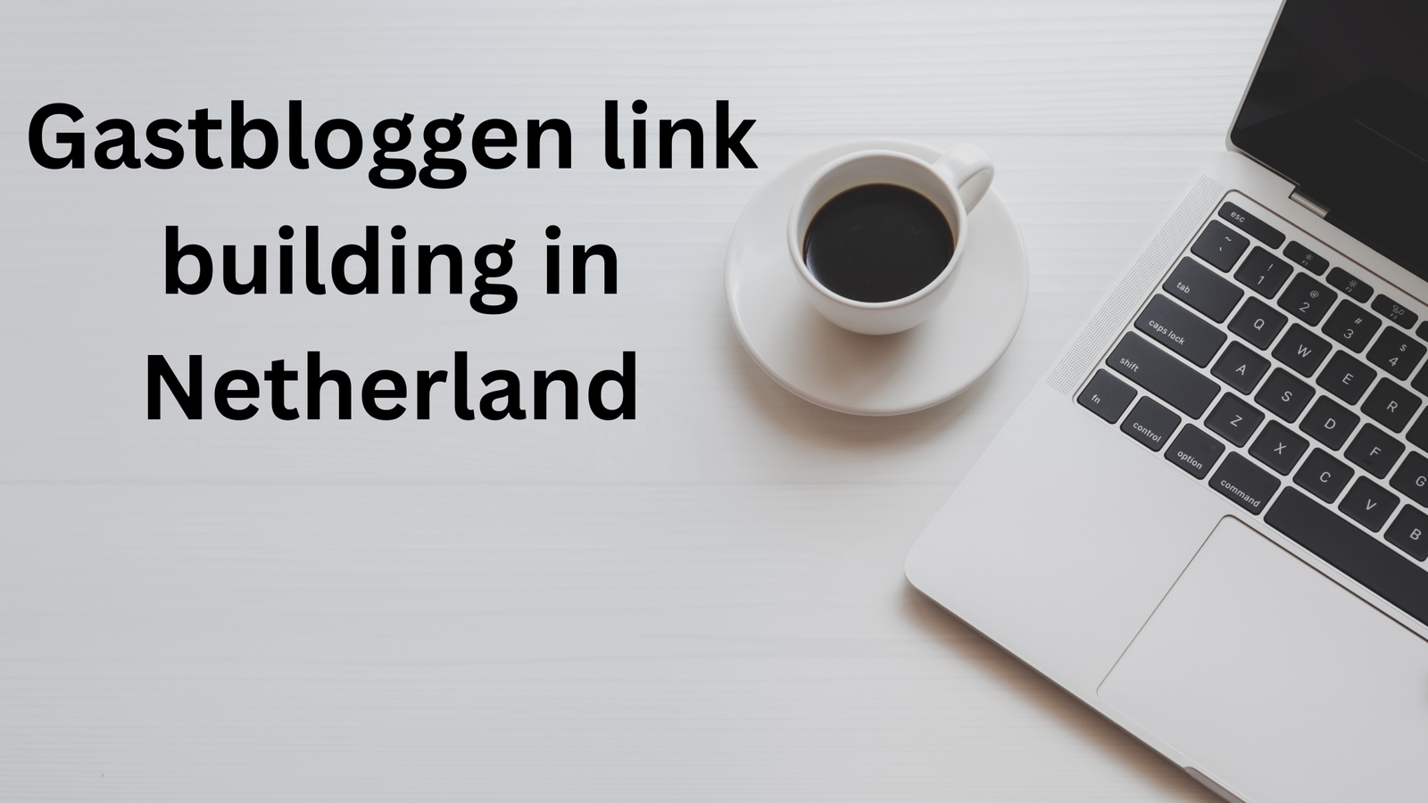 Gastbloggen link building in Netherland